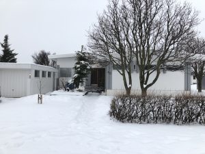 Alpareynir - Sorbus mougeotii - Image 8