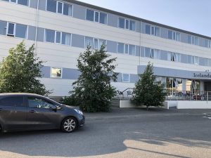 Gráelri / Gráölur - Alnus incana - Image 10