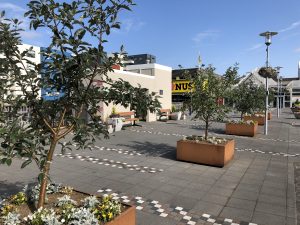 Alpareynir - Sorbus mougeotii - Image 5