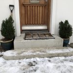 Fagursýprus / Jólasýprus - Chamaecyparis lawsoniana 'Ellwoodii'