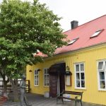 Silfurreynir - Sorbus intermedia